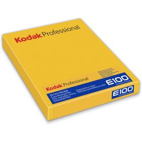 Kodak Ektachrome E100 4x5 10SH