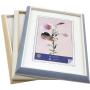 Henzo Frame Lily 10x15 Nature