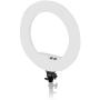 Caruba Round Vlogger 18 inch LED Set Economy w/ Bag - White