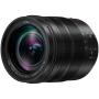 Panasonic LUMIX G 12-60mm f/2.8-4.0 Leica MFT Black