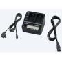 Sony AC-VQV10 (Battery-Charger For H-P-EN V-Serie Accu&amp;#039;s)