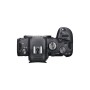 Comprar Canon EOS R6 Cuerpo - Segunda Mano - Entrega 24h - Ganga Electrónica