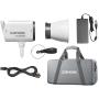 Godox Litemons LED Video Light Kit LA300BI K1