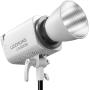 Godox Litemons LED Video Light Kit LA300BI K1
