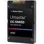 Western Digital Ultrastar SN655 61.44TB