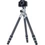 Rollei Lion Rock Pro w/ Ball Head