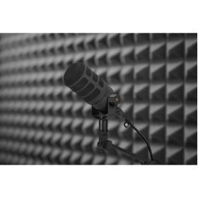 RØDE WS14