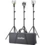 Godox ML100BI KIT3 Portable LED Light Kit(Withv Mount Holding Handle)