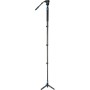 Comprar - Sirui P-424FL Monopie de Carbono con Rótula VA-10  - Ganga Electrónica