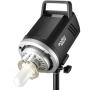 Godox MS300-F Kit