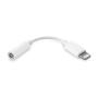 Adaptador Apple MMX62ZM/A de conector Lightning a Toma para Auriculares 3.5mm