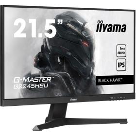 Iiyama 22IW LCD Full HD Gaming IPS 100Hz