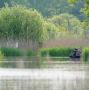 Buteo Photo Gear Floating Hide Grebe II
