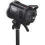 Godox MS300V