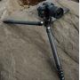 FALCAM Treeroot Quick Lock Pro Tripod T00A4901