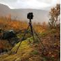 FALCAM Treeroot Quick Lock Pro Tripod T00A4901