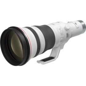 Canon RF 800mm f5.6 L IS USM
