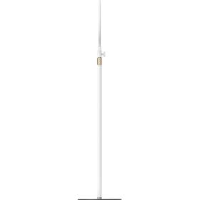 Telesin Floor Stand Eye Care &amp;amp; Beauty Fill Light