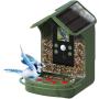 Braun Bird Cam 130 - Solar - Olive