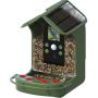 Braun Bird Cam 130 - Solar - Olive