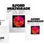 Ilford Multigrade Set 12 Filters 8.9 X 8.9cm