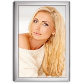 Zep 120S20-8R Silver Frame 20x25 cm