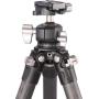 Leofoto Ranger LS-284C + Ball Head LH-30