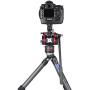 Leofoto LS-365CEX Ranger Carbon Tripod w/ Leveling Base