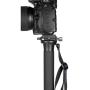 Leofoto MP-366C Carbon Monopod