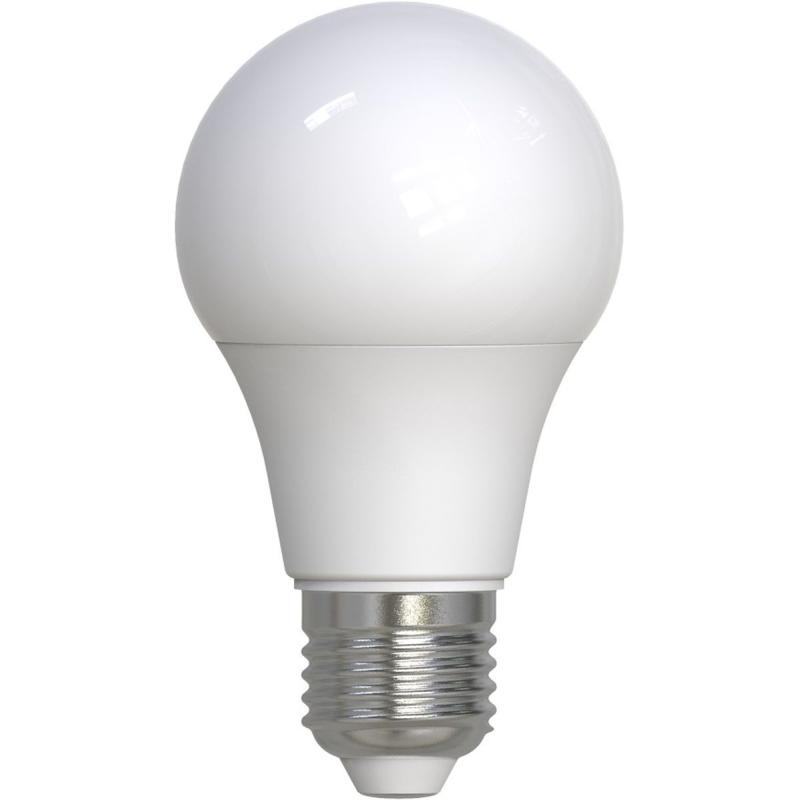 Hama Ledlamp E27 1055LM Vervangt 75W Peer A60 Mat Neutraal White
