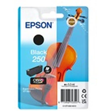 Epson Singlepack Black 250 Ink