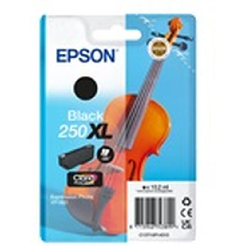 Epson Singlepack Black 250XL Ink
