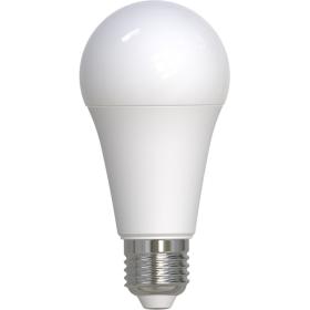 Hama Ledlamp E27 2452LM Vervangt 150W Peer A60 Mat Warm White