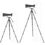 Leofoto Summit LM-324cl