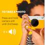 Kodak Printomatic Grey