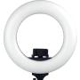 Caruba Round Vlogger 12 inch LED Set w/ Bag - Black