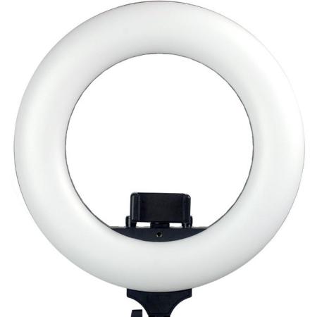 Caruba Round Vlogger 12 inch LED Set w/ Bag - Black