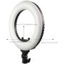 Caruba Round Vlogger 12 inch LED Set w/ Bag - Black