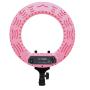Caruba Round Vlogger 12 inch LED Set w/ Bag - Pink
