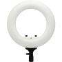 Caruba Round Vlogger 12 inch LED Set w/ Bag - White