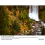 Lensbaby Edge 80 Optic