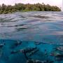 PolarPro GoPro Hero 9 Fifty-Fifty Dome