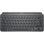 Logitech MX Keys Mini For Business Graphite FR Central