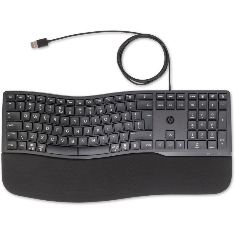 HP Acc: HP 480 CFT Wired Keyboard