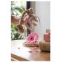 Clayre Eef Cloche 6GL2222 Transparent 17x29 cm