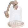Clayre Eef 6GL2220 Glass Cloche Transparent 12x19 cm