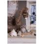 Clayre Eef 6GL2220 Glass Cloche Transparent 12x19 cm