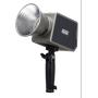 Newell Zora WB (2700 - 6500 K) LED Light