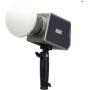Newell Zora WB (2700 - 6500 K) LED Light