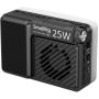 SmallRig 5357 RM 25C Mini LED Video Light (Black)